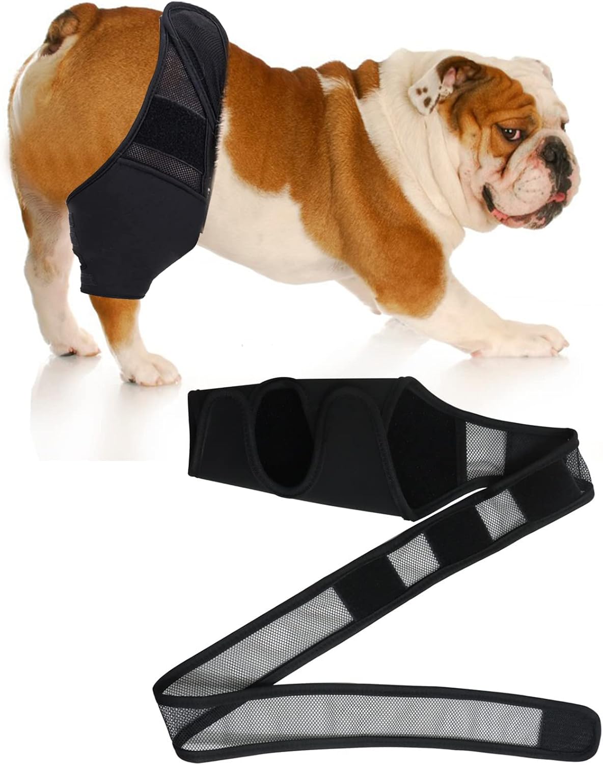Dog Knee Brace for Torn ACL Hind Leg, Dog Leg Support