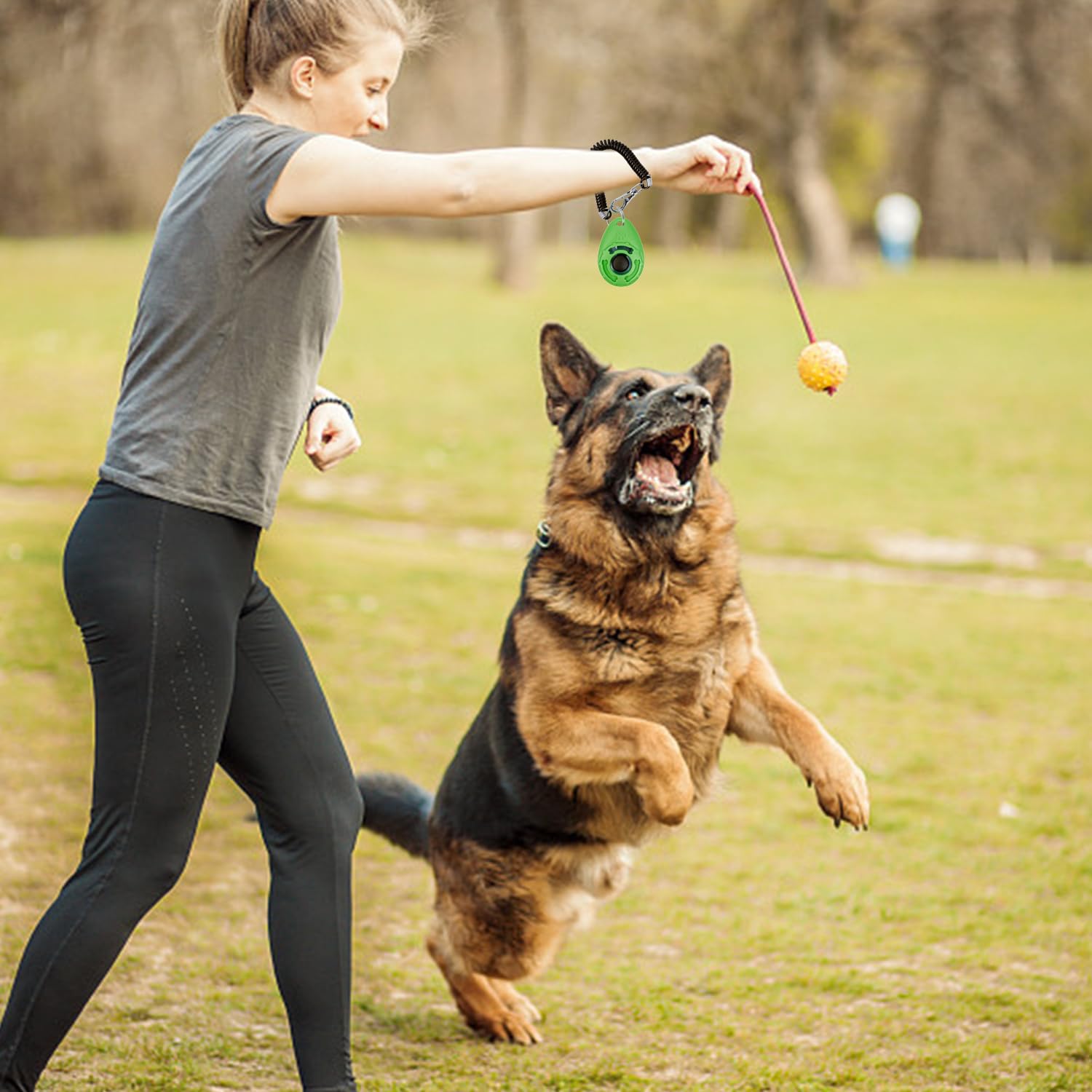 6 Allenatore per Animali Domestici, Strumenti per Gli Aiuti per Addestramento per Cani, Clicker di Addestramento per Cani, Forniture per Animali Domestici (Multicolori).