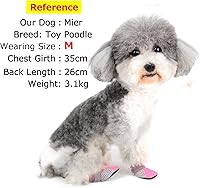 Vista 3 de Zunea Botas para perros para pavimento caliente de verano, transpirables, de malla suave, protectores de patas, zapatos para cachorros pequeños