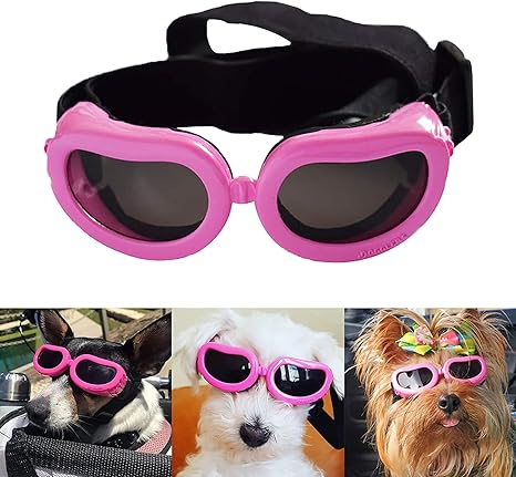 small dog goggles amazon
