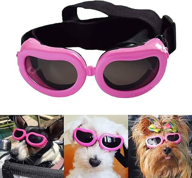 dog helmet and goggles