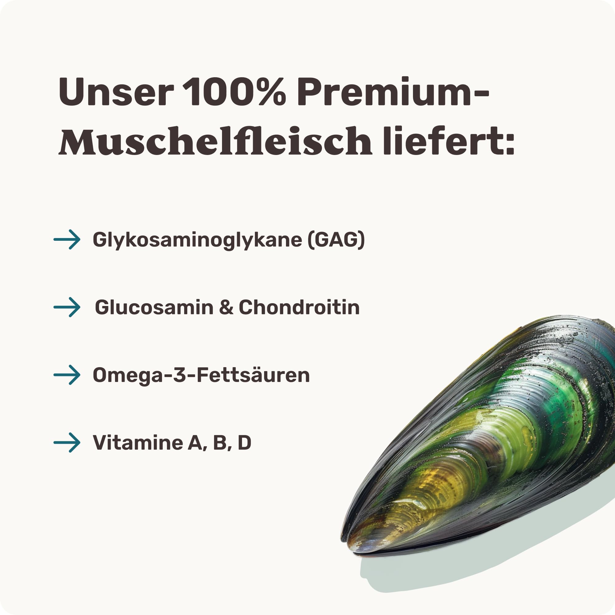Grünlippmuschel Hund die Gelenktabletten von mammaly - ca. 200 Snacks für Hunde (340g) - Kann positiven Beitrag bei Arthrose leisten - Alternative zu Tabletten, Kapseln & Grünlippmuschelpulver
