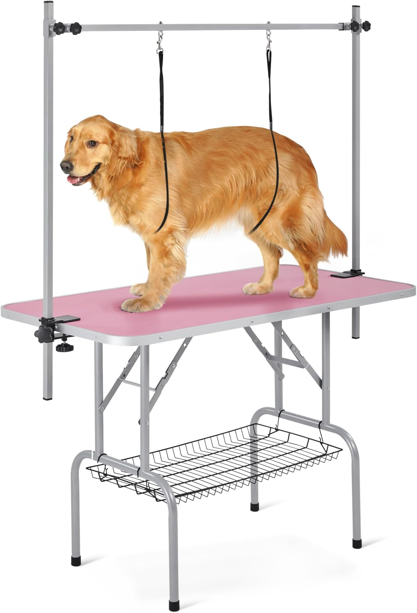 What Equipment Does a Dog Need: Essential Gear for Happy Pets