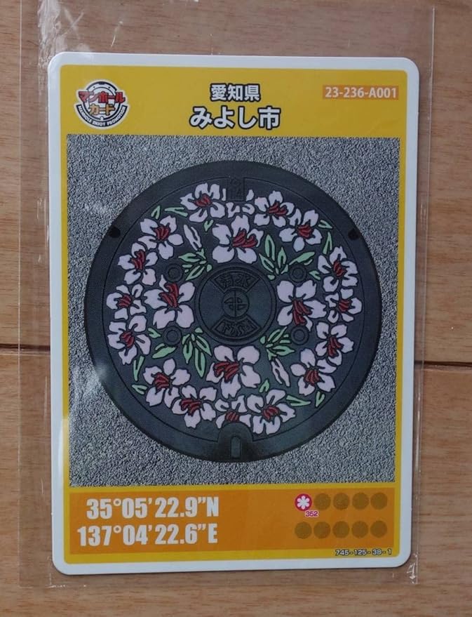 最安値級価格 ⑩マンホールカード 中国 九州 ロット001あり asakusa.sub.jp