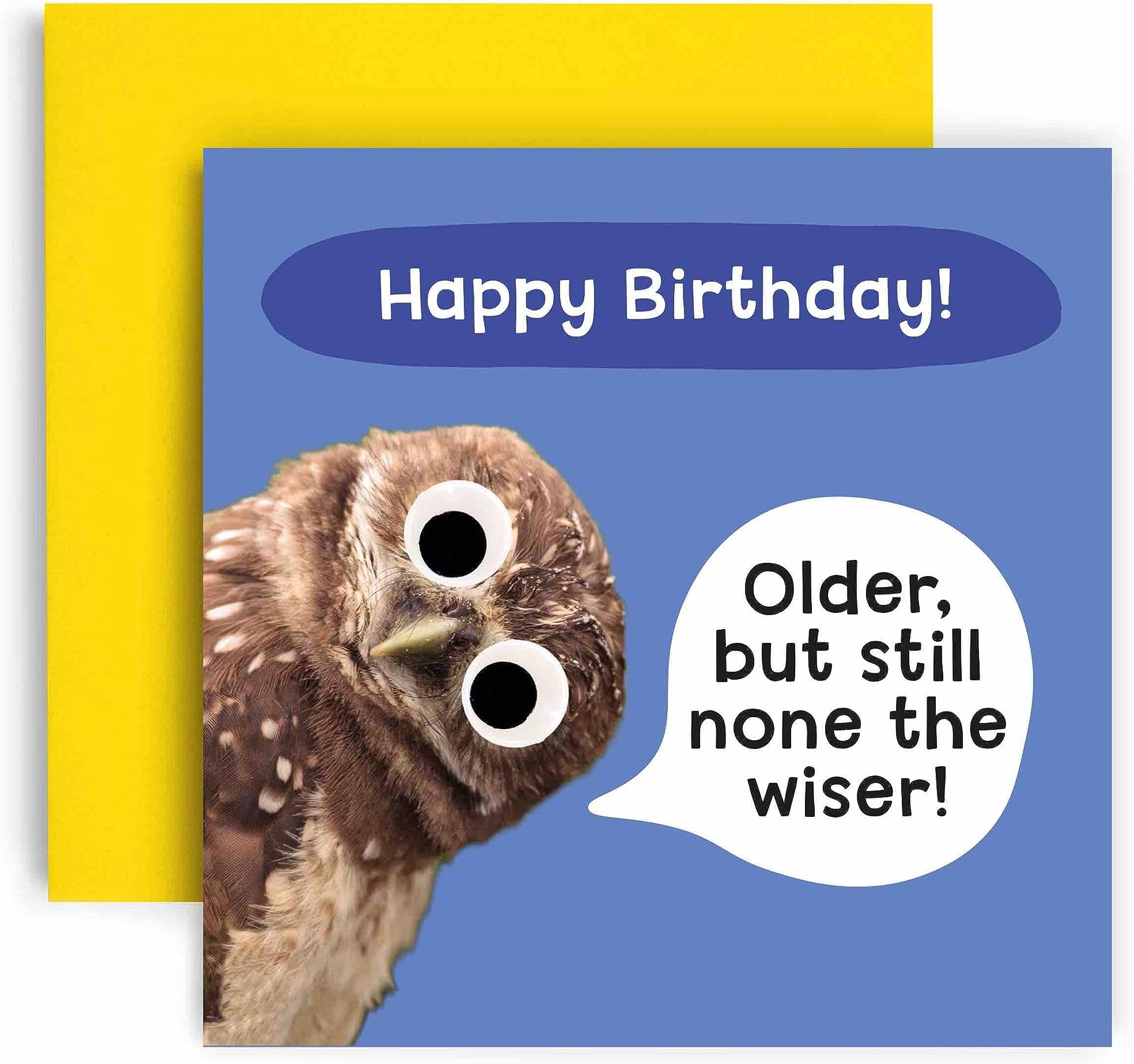 Huxters Birthday Card – Funny Birthday Cards for Women and Men – Owl Happy Birthday Card for him – Birthday Card for Him and Her – Carbon Neutral Birthday Card with Envelope - Brother Son Daughter