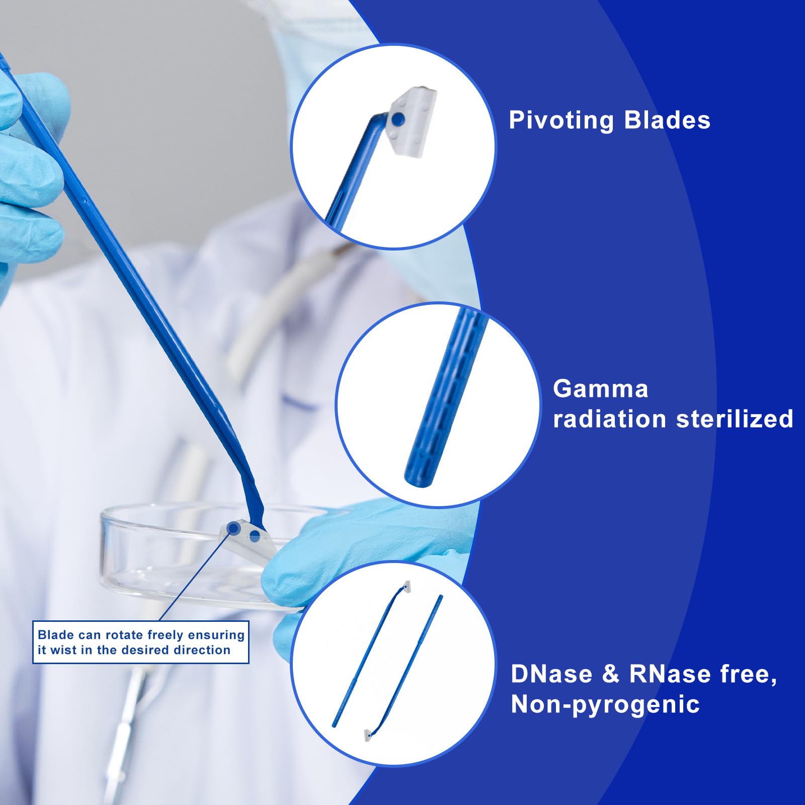 200 raschietti per coltura cellulare, multiposizione, 24,3 cm, manico in polietilene, sterile, confezionato singolarmente