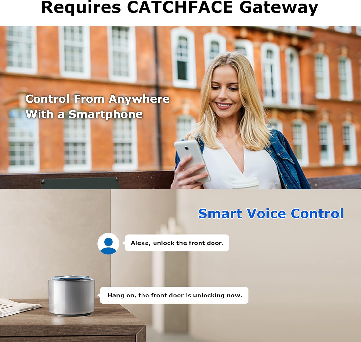 Remote control and voice control with CATCHFACE Gateway