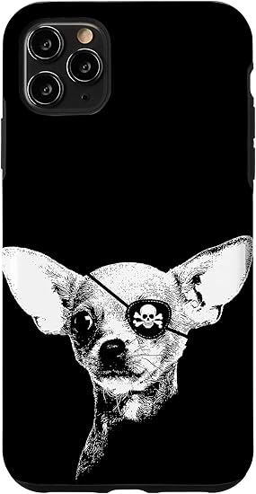 chihuahua with eye patch