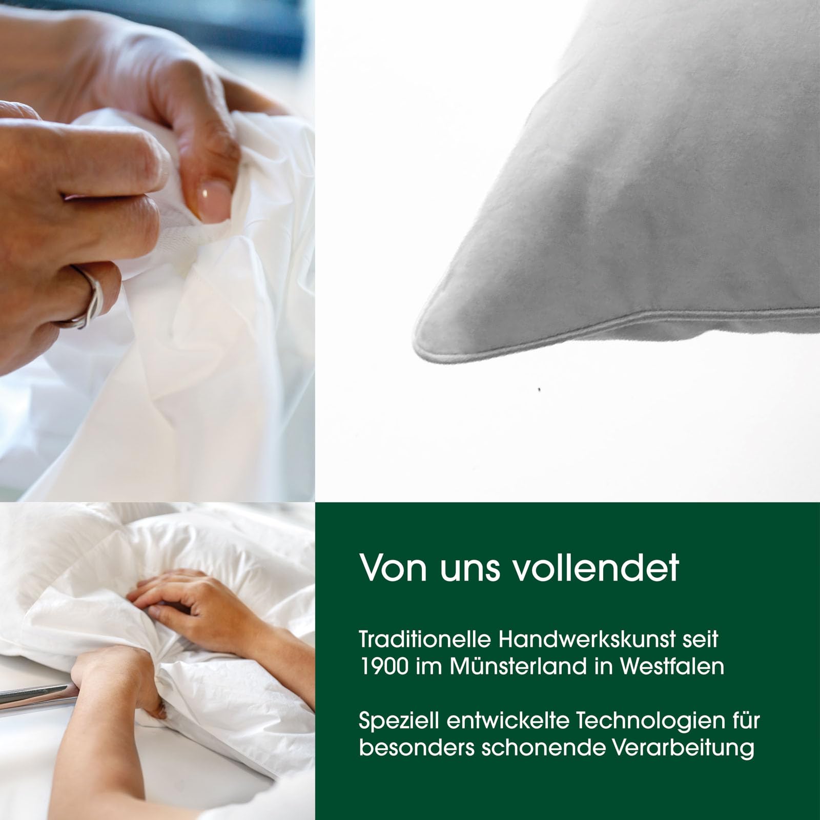 Premium de Luxe Daunenkissen 80x80 cm - Made in Germany Daunen Kopfkissen aus 100% Baumwolle - 3 Kammer Daunenkissen für Allergiker [1er Pack]