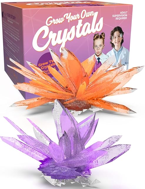 Purple Ladybug Kids Crystal Growing Science Kit for Children Age 10 & Up - Cool 10 Year Old Gifts for Girls & Birthday Gifts for 10 11 12 Year old Boys and Teens - Simple Science Kids Crafts