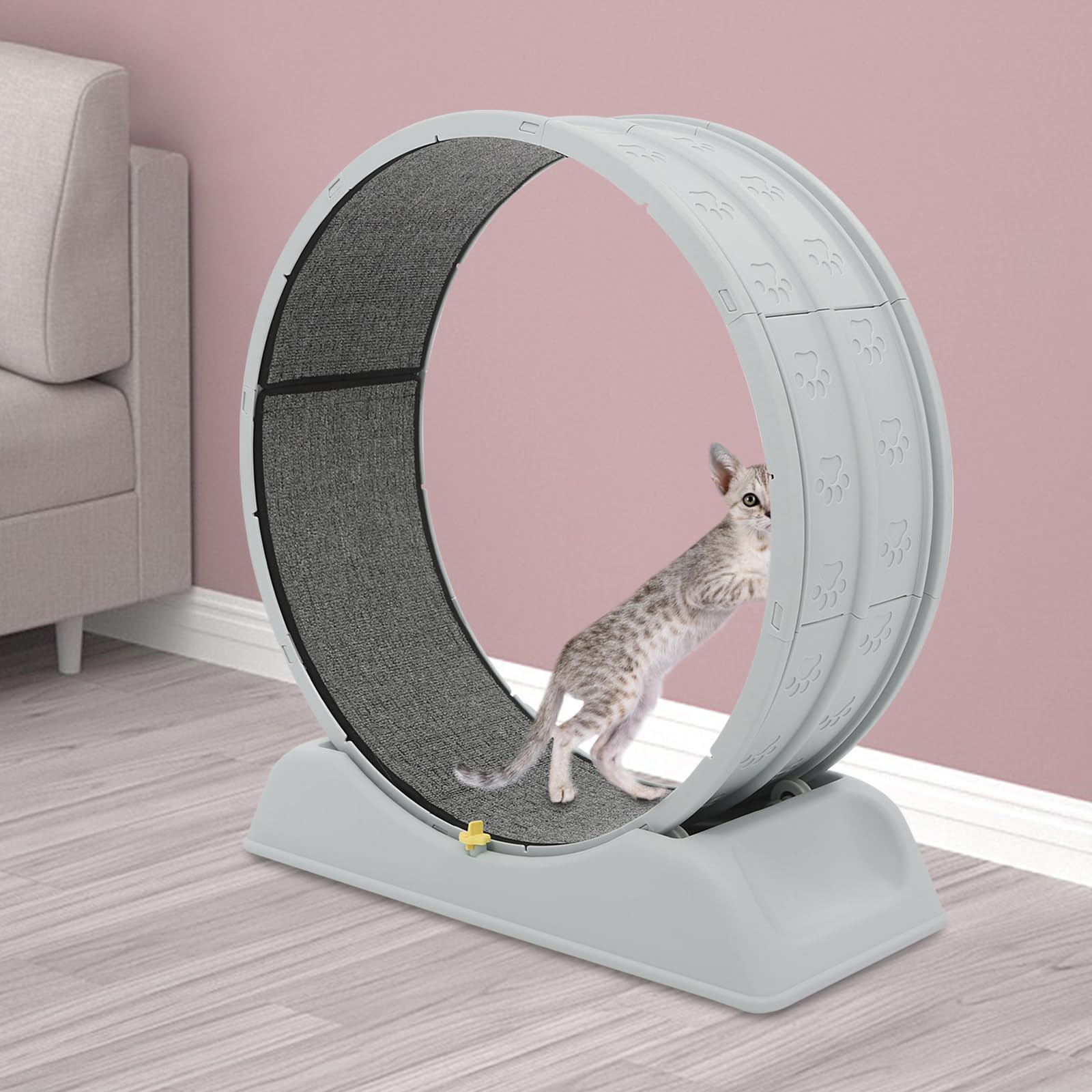 Rueda para gatos de 80 cm, silenciosa, con cerradura de seguridad, rueda grande para gatos domésticos, dispositivo de fitness para interiores con alfombra extraíble y protección contra
