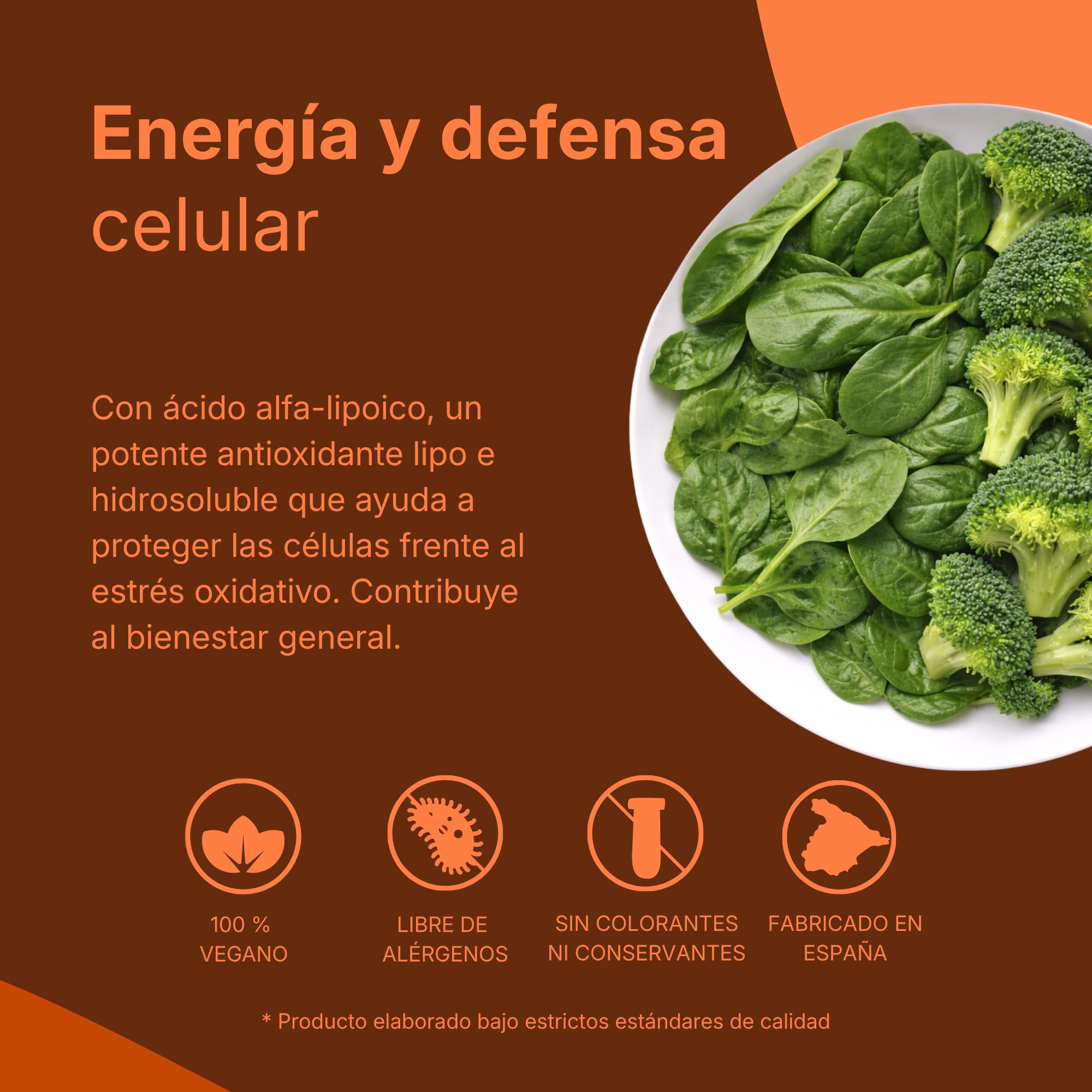 Ácido Alfa Lipoico FEPA – 90 Cápsulas Pack de 2 – Complemento Alimenticio con Ácido Alfa-Lipóico – Apoyo Antioxidante y Metabólico – Contribuye al Metabolismo Energético y Bienestar General – Fepadiet