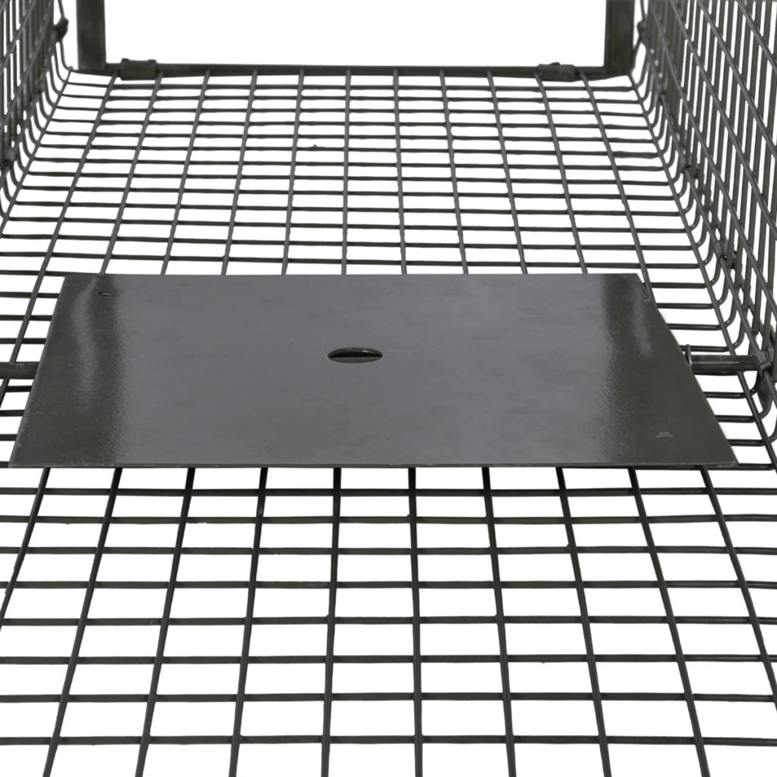 MOONAIRY Trampa para Animales Vivos 2 Puertas, Jaula Trampa para Gatos, Puesto De Caza, Puesto De Caza, Jaula Trampa