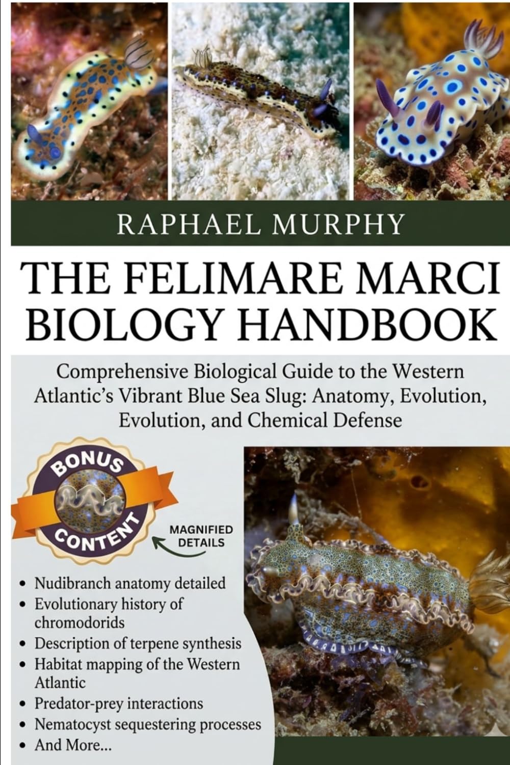 THE FELIMARE MARCI BIOLOGY HANDBOOK: Comprehensive Biological Guide to the Western Atlantic’s Vibrant Blue Sea Slug: Anatomy, Evolution, and Chemical Defense