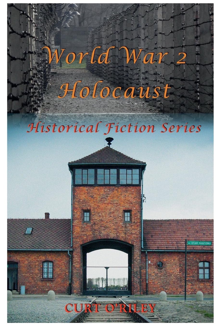 World War 2 Holocaust Historical Fiction Series (0)