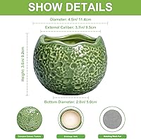 Vista 2 de Macetas de Cerámica Thirtypot - Maceta de 4 Pulgadas con Agujero de Drenaje, Macetas Pequeñas para Plantas de Interior y Exterior, Maceta Redonda