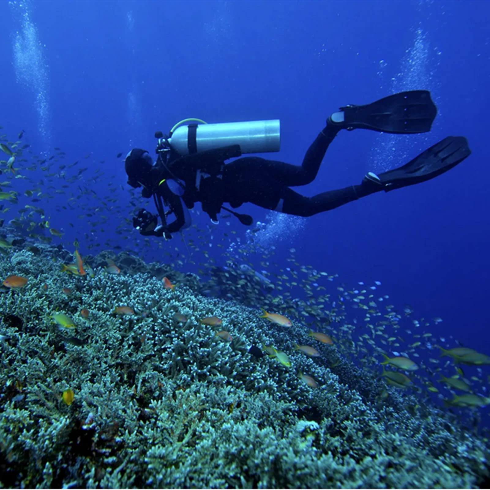 Muta in Neoprene Ultra Elasticizzato da 1,5 Mm, Muta da Sub per Tutto Il Corpo con Zip Frontale per Uomo, Snorkeling, Immersioni Subacquee, Nuoto, Surf