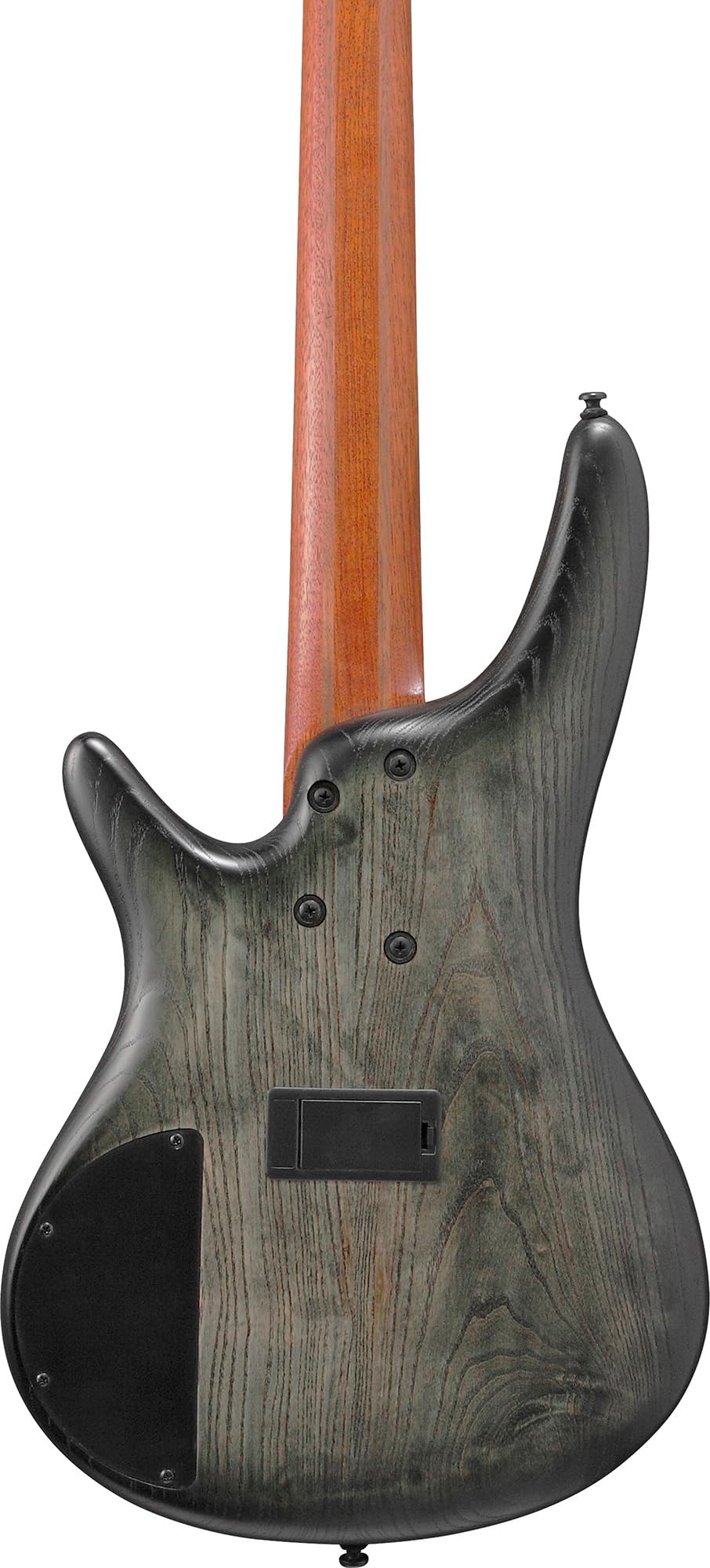 Amazon.com: Ibanez SR605E SR Standard Bass Guitar - Black Stained
