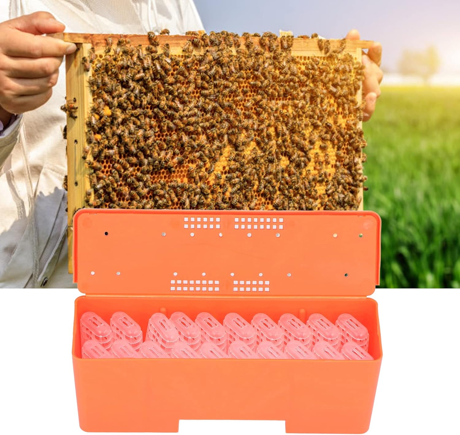 Gavigain Beekeeping Rearing Cup Kit, 20pcs White Queen Bee Cages, Queen bee rasing