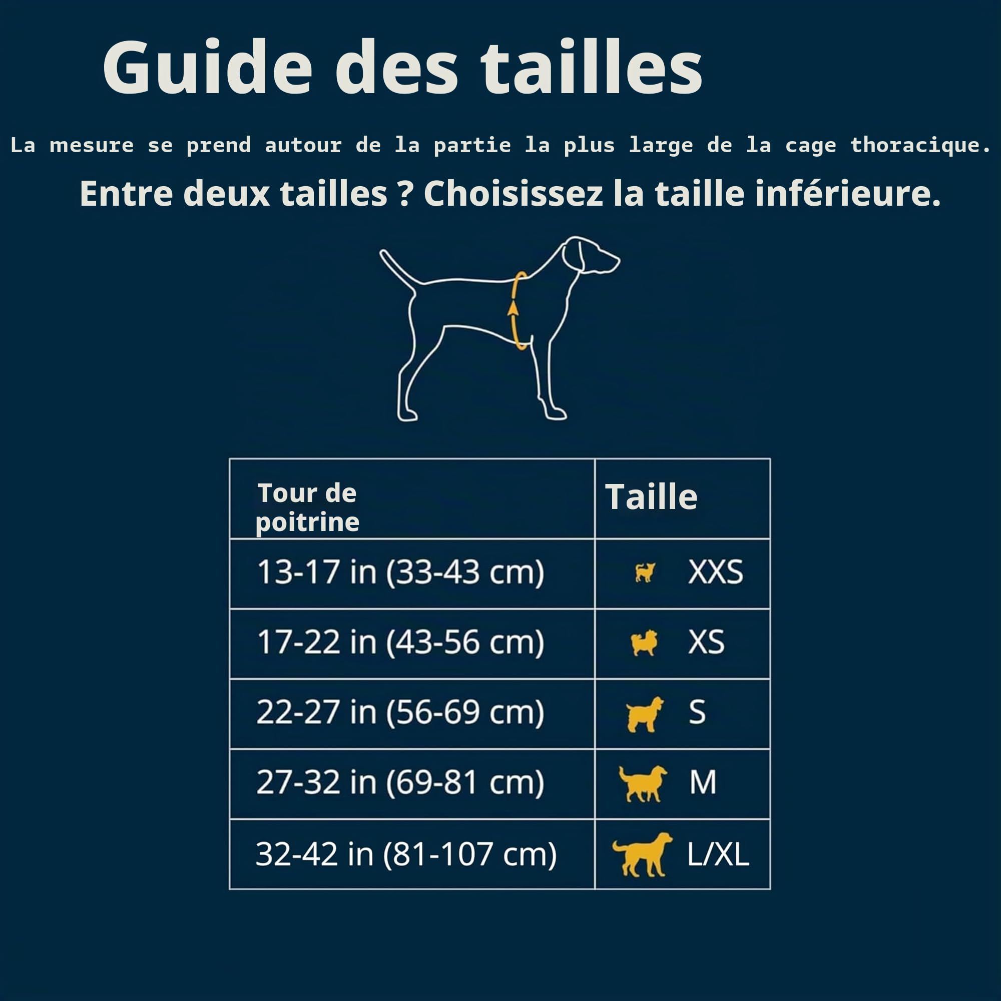 Ruffwear Web Master Harnais pour Chien avec poignée et Boucle améliorée, réglable et léger pour Les promenades et randonnées, Anti-Fuite, sans Traction, Respirant et Confortable, Blaze Orange, L/XL