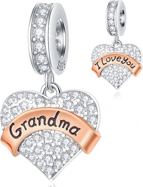CRISNATA Family Theme Pave Heart Pendant Charms with Clear CZ, 925 Sterling Silver Rose Gold Ribbon Beads, fits European Mothers Day Bracelet, Gifts for Mother/Wife/Friends