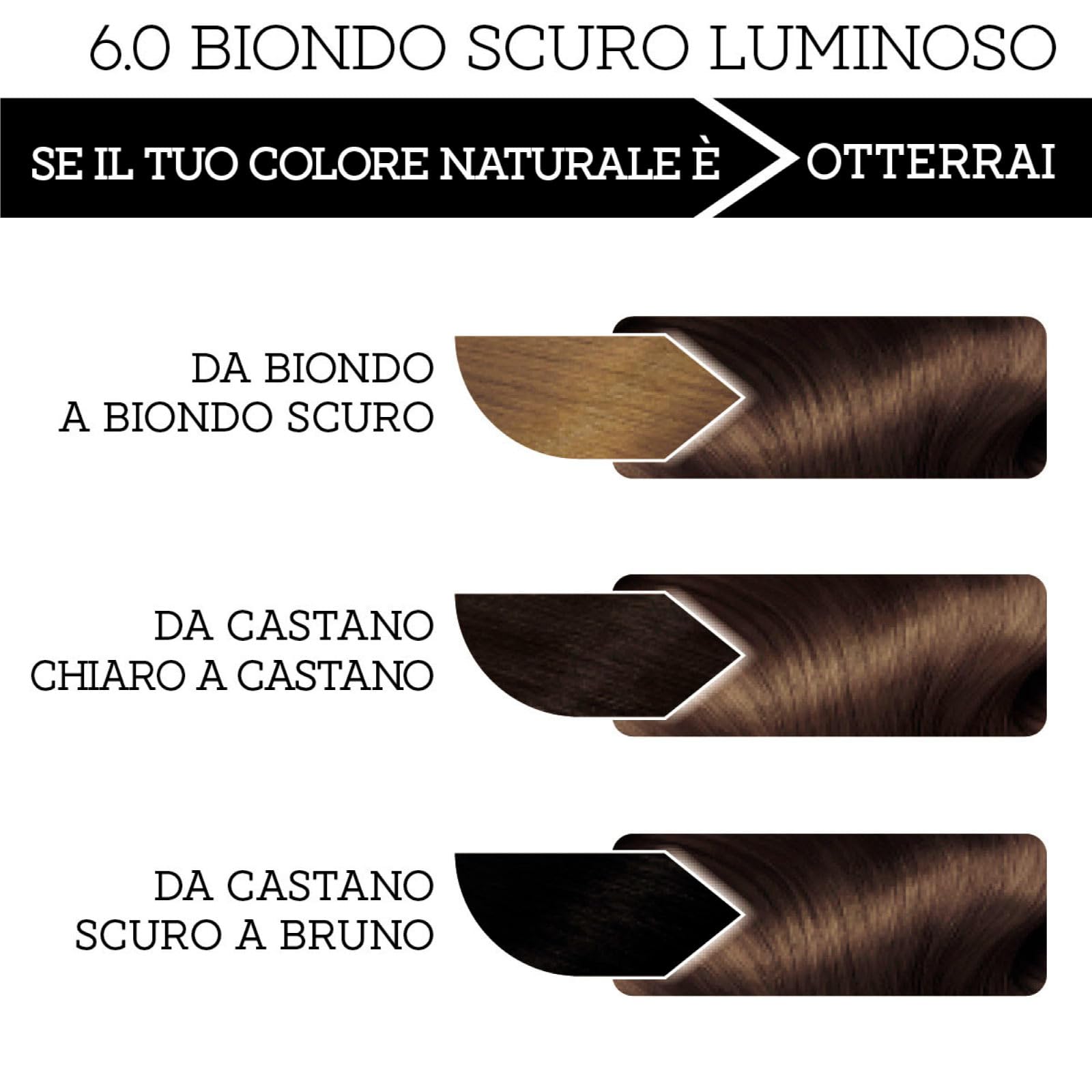 Franck Provost Tinta Permanente Riutilizzabile per Capelli con Trattamento di Bellezza Colorazione Professionale e Copertura Ottimale a Lunga Durata Colore 6.0 Biondo Scuro Luminoso - 3 Tinte