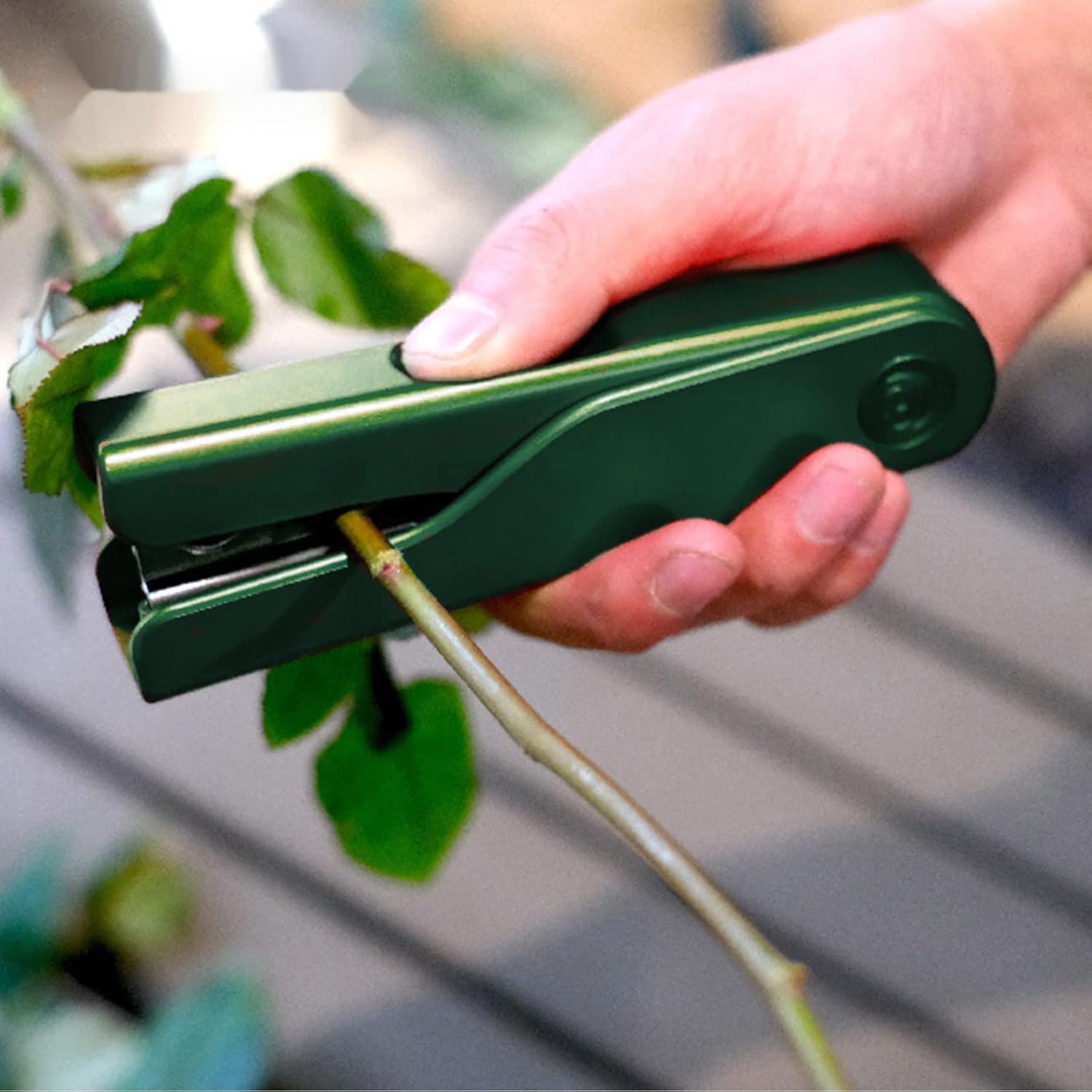 Professional Rose Thorn and Leaf Stripping Tool, Roses