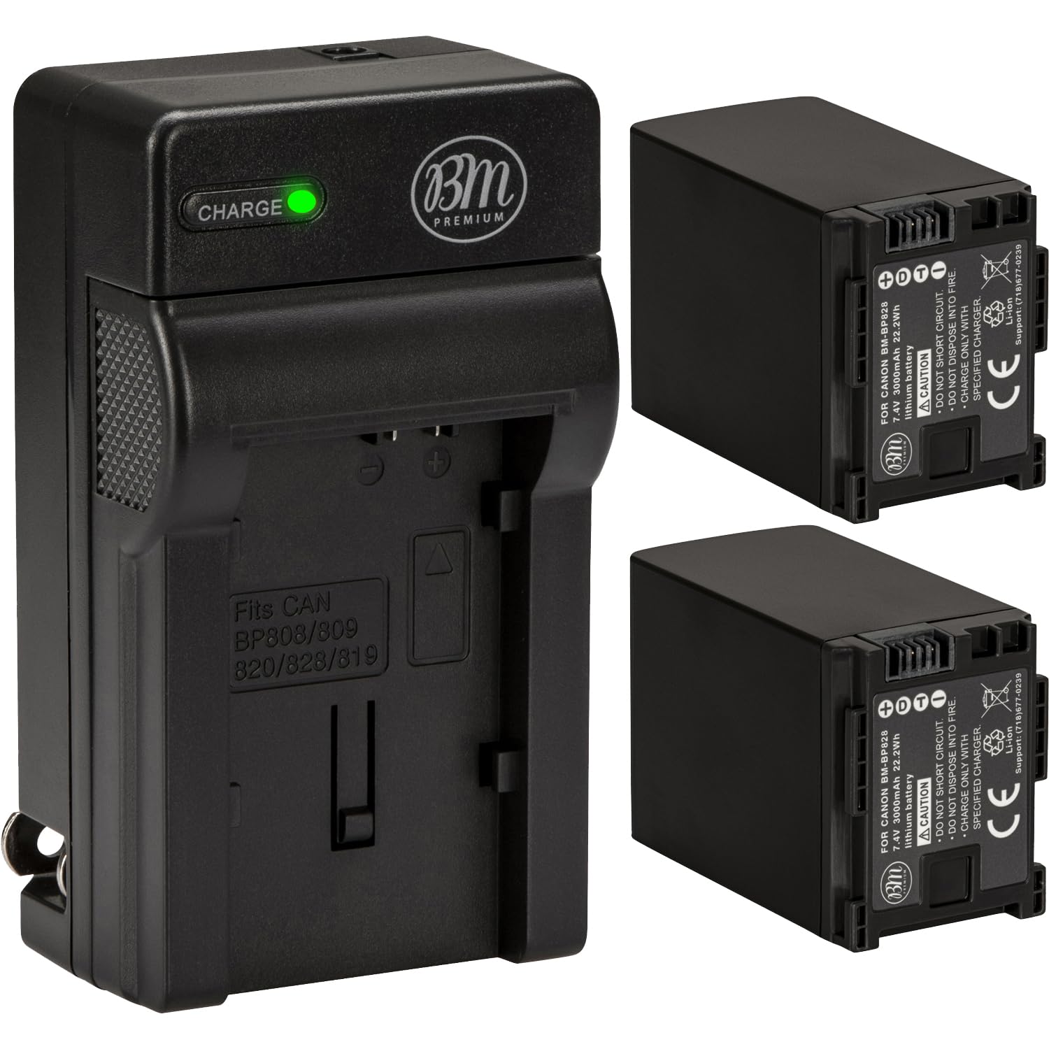 Amazon.com : BM Premium 2 BP-828 Batteries and Charger for Canon