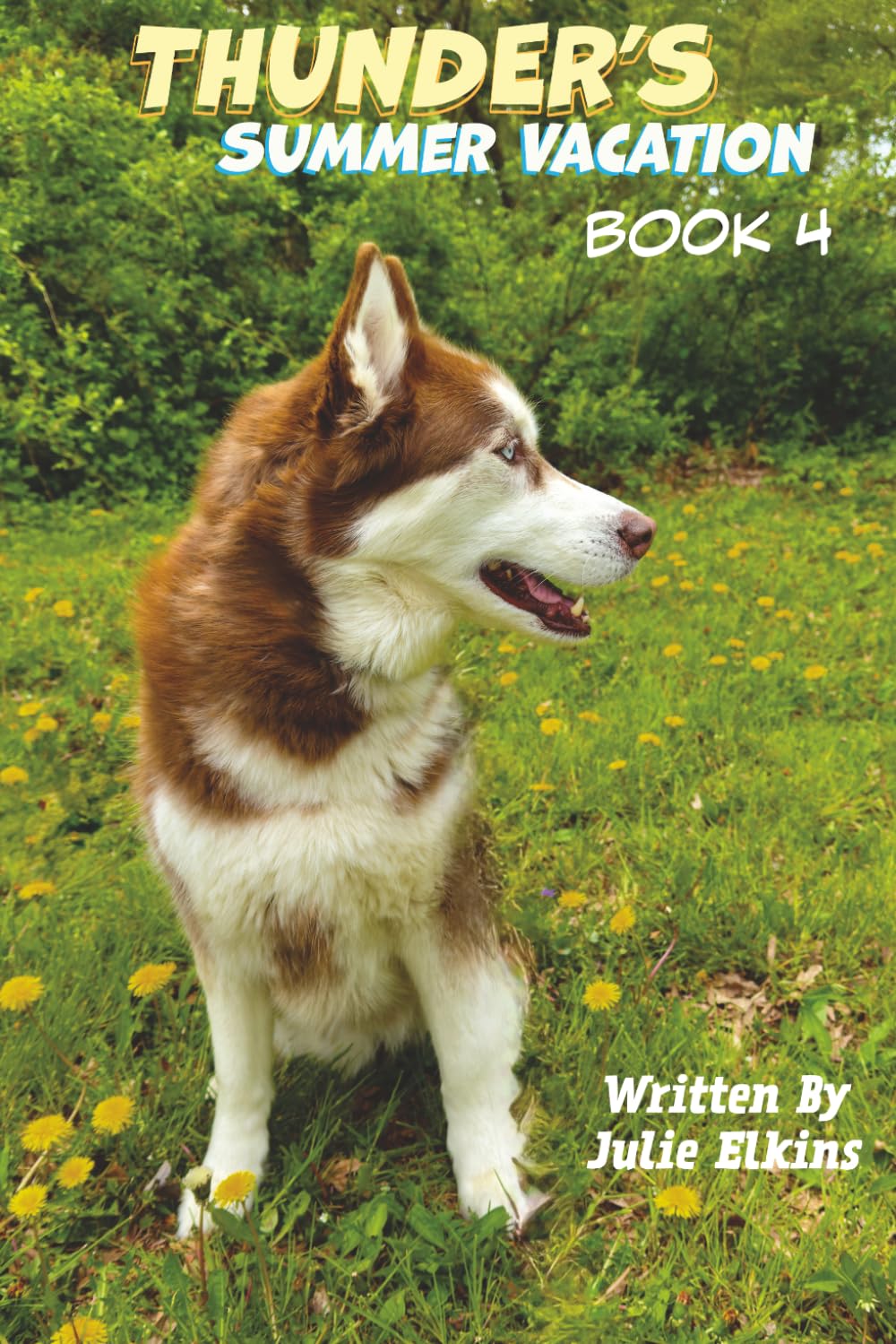 Thunder's Summer Vacation: Book 4 (Thunders Grand Adventure)