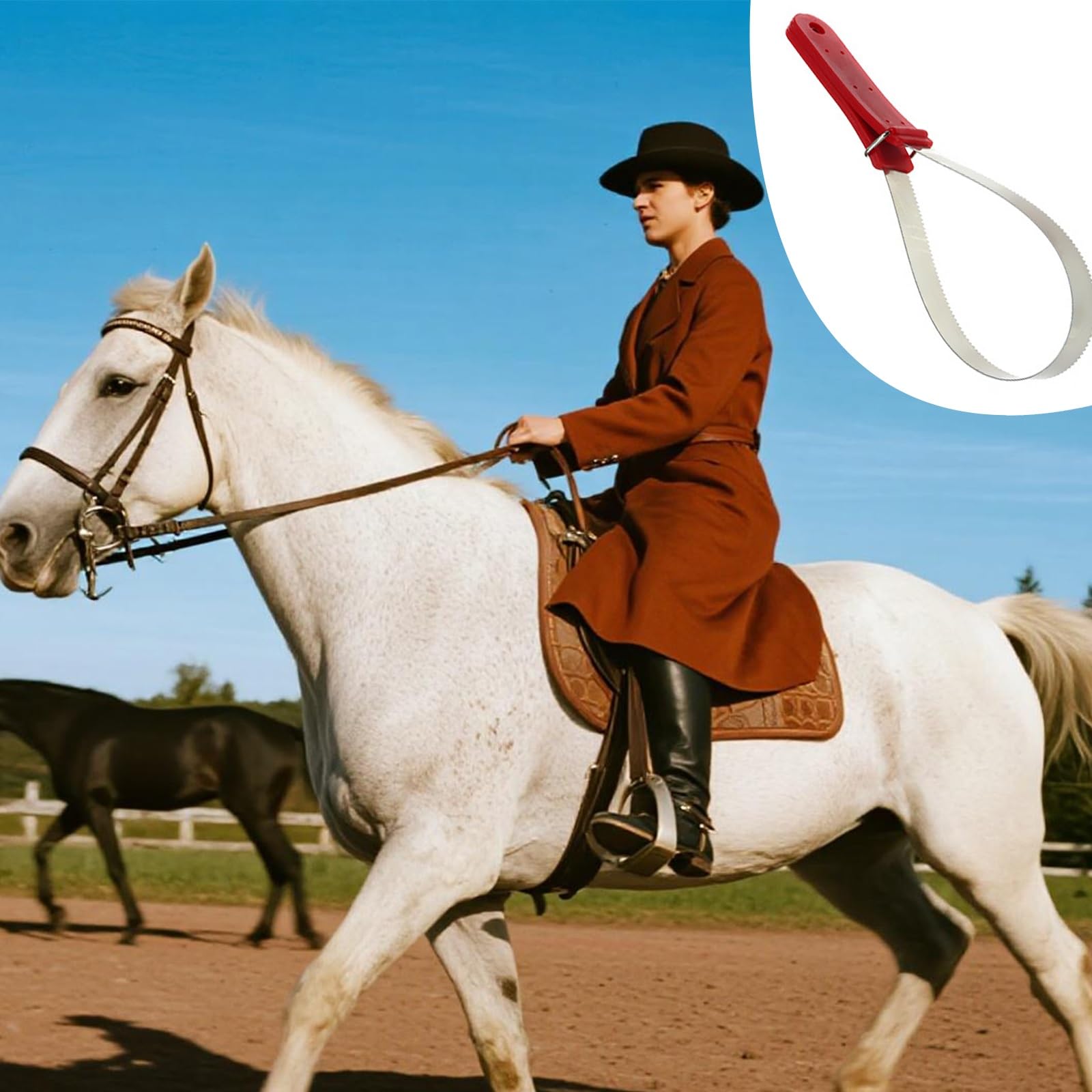 Juego de aseo para caballos: kit completo de 9 piezas con cepillos, peines y raspadores de sudor para un cuidado integral