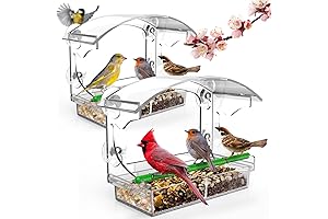 Window Bird Feeder: A Sight of Joy for Bird Enthusiasts and Curious Minds