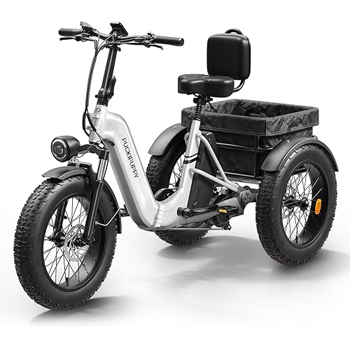 Electric Trike for Adult with 960W Peak Motor, 48V 17.4AH Cells Battery, Pickup Class 500 LB Load Electric Tricycle with 20" Fat Tire and Large Basket, 60 Miles Range, for City and Mountain Road