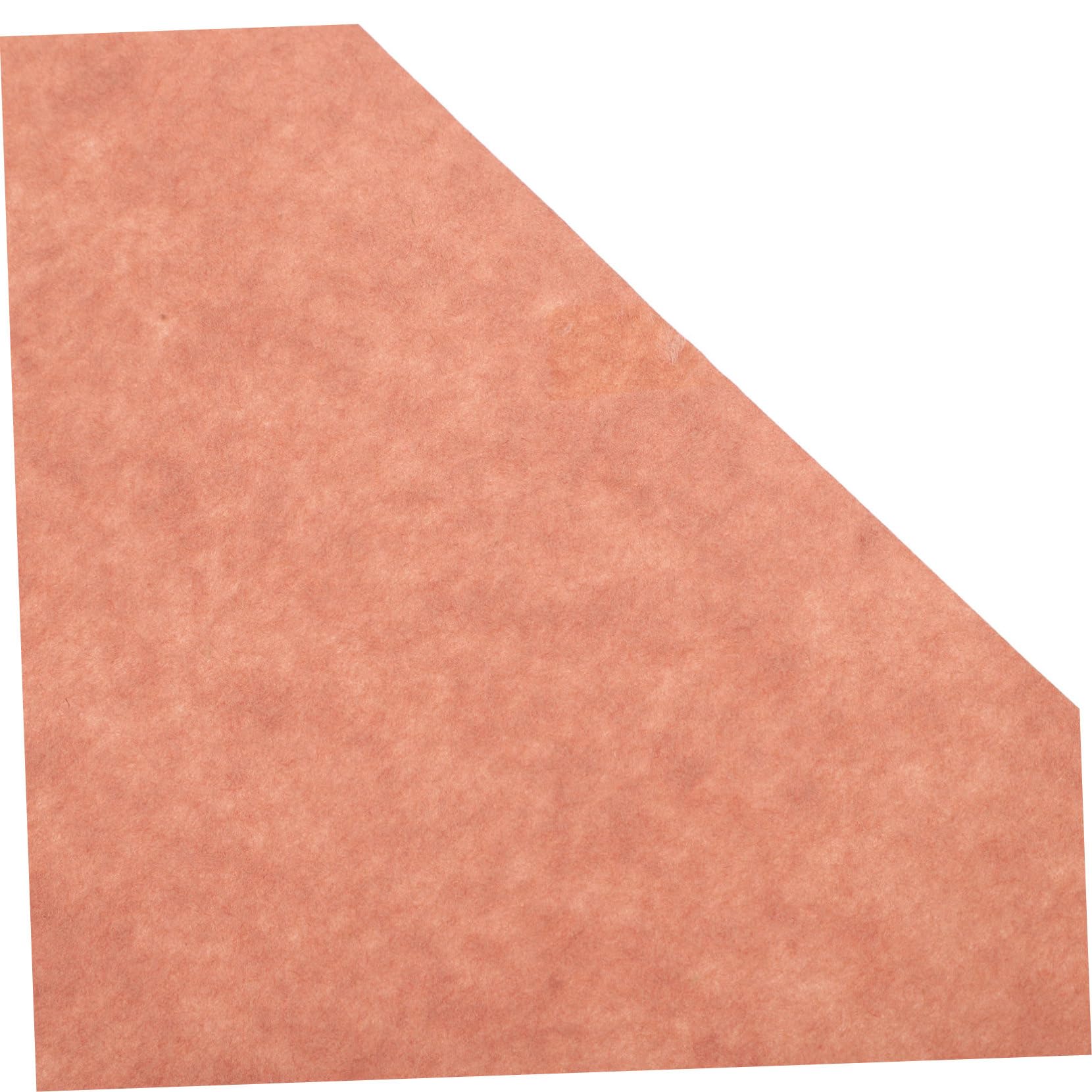 1rolka Papier Do Pieczenia i Grillowania Papier Rzeźniczy Idealny Do Pieczenia Ciast Ciastek Ryb i Mięsa Bezpieczny Dla Żywności