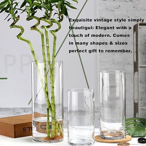 Miniatura 6 de Jarrón cilíndrico transparente a granel Esmiome  2 juegos (8 piezas) jarrones cilíndricos para centros de mesa, portavelas flotantes de huracán,