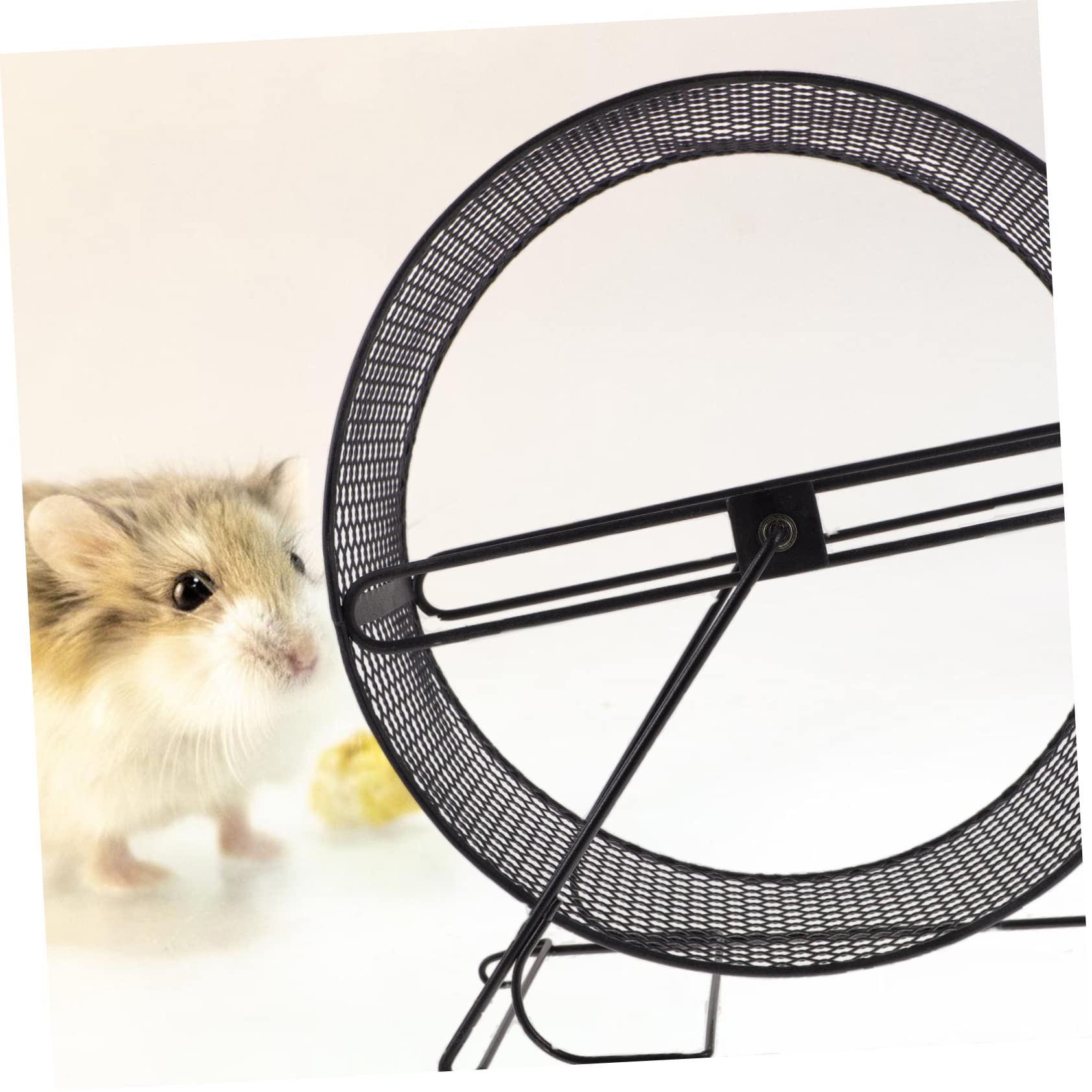 WOONEKY Roue Silencieuse Boule pour en Fer Noir Hamster Doré 25cm Jouet D’Exercice Sûr pour Petits Animaux Écureuil