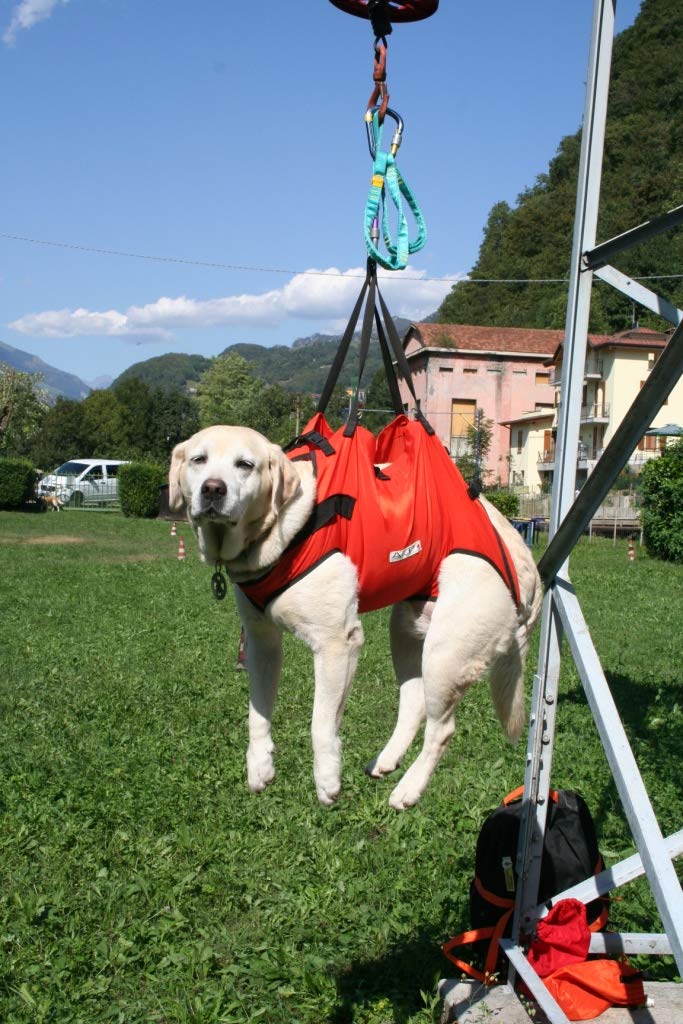 Alp Design. Taxi. Imbracatura di Emergenza per Cani. Materiali Resistenti e Leggeri. Design Ergonomico, Trasporto Confortevole. Borsetta Inclusa. Made in Italy. M