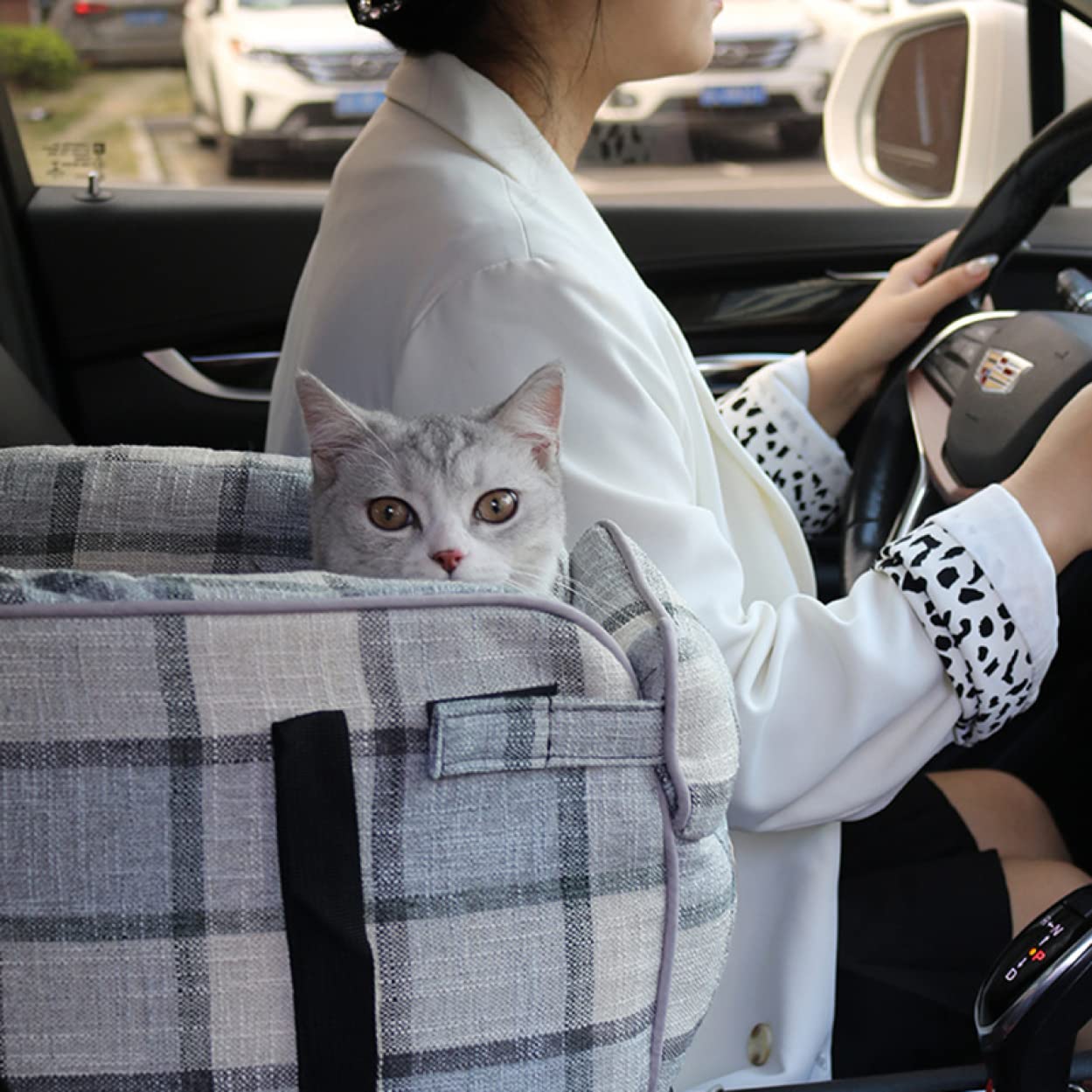 Amazon | [JUI3N] ペット ドライブボックス 犬 ゲージ 猫 キャリー