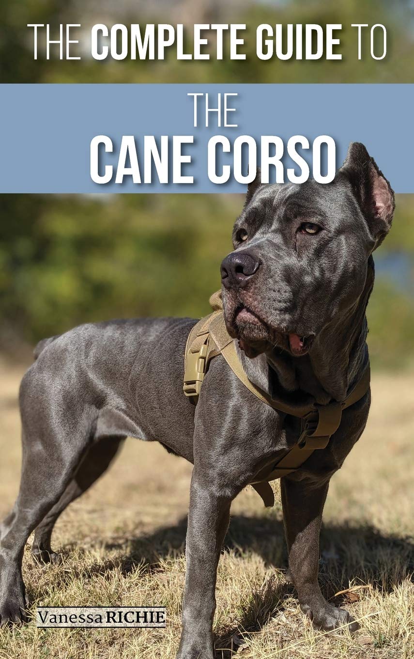 Buy The Complete Guide to the Cane Corso Selecting, Raising, Training