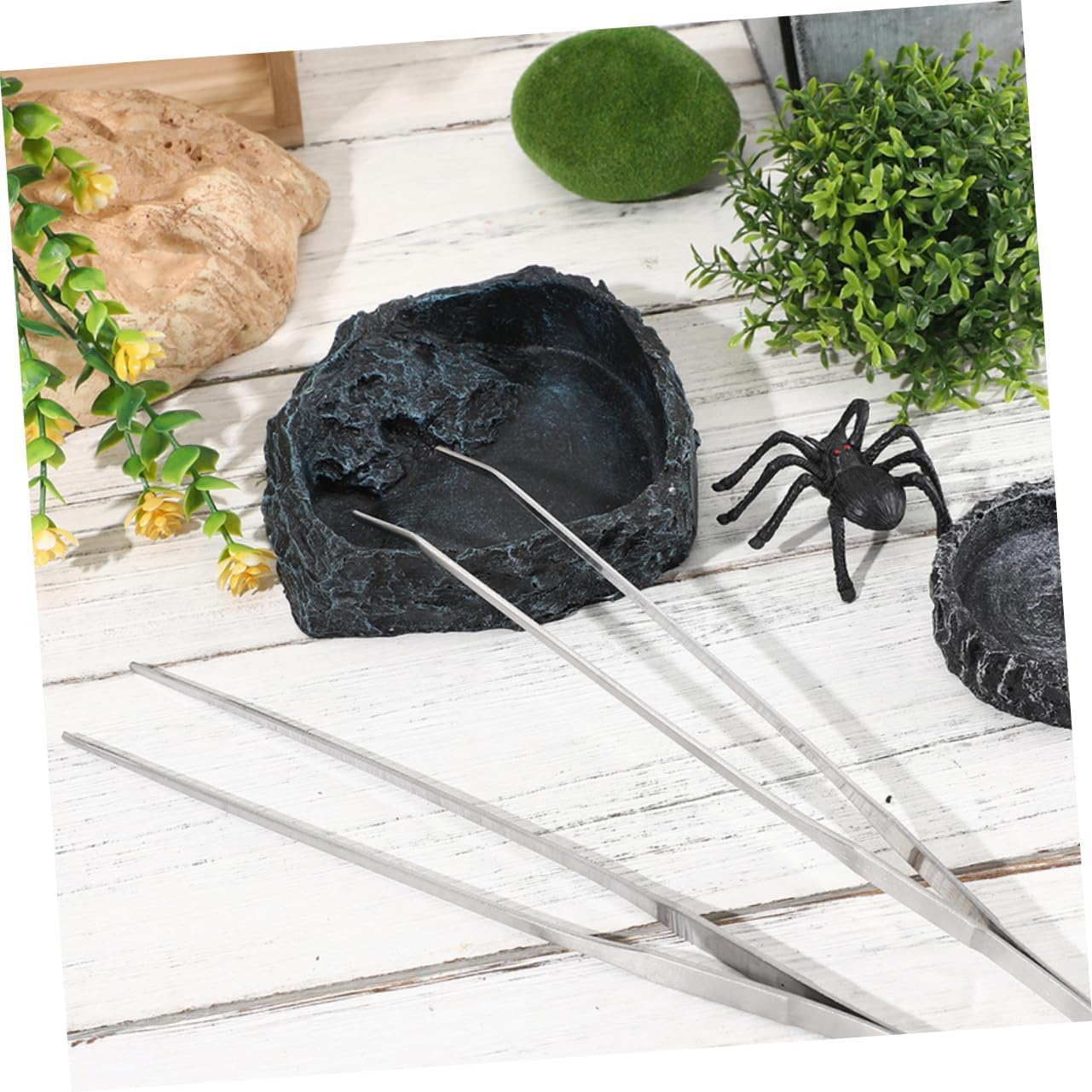 PRETYZOOM Large Reptile Food Bowl Turtle Water Dish Snake Feeding Tongs Crab Food Dish Reptile Bowl Easy to Clean