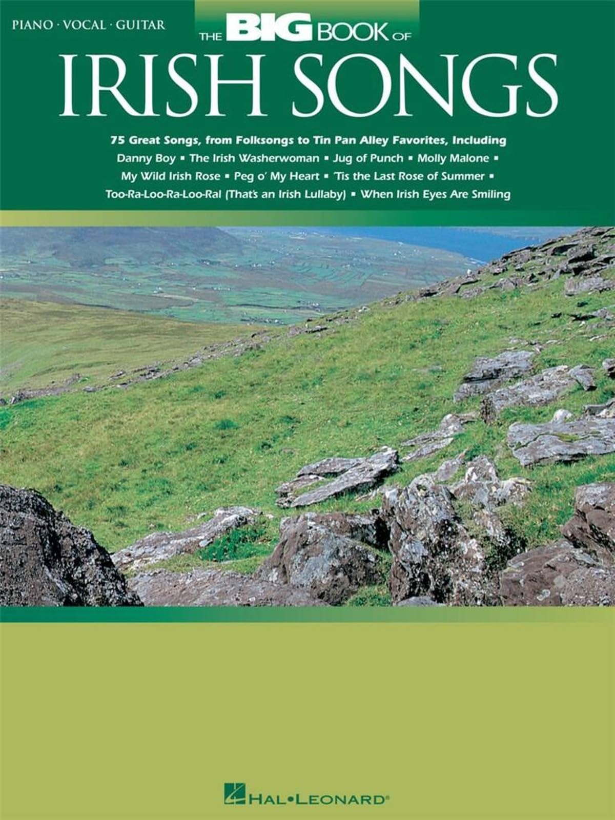 The Big Book of Irish Songs by   - 9780634058479