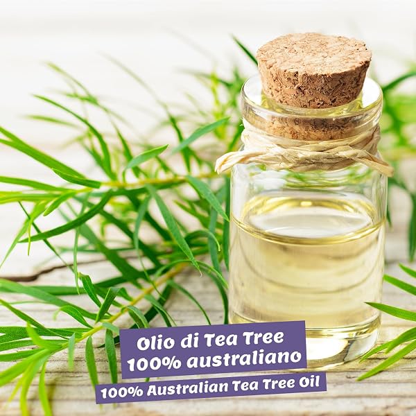 Tea Tree Oil 10ml - Olio Tea Tree puro biologico - anti acne, brufoli e punti neri - Olio Essenziale di Albero del Tè per aromaterapia e diffusore - 3