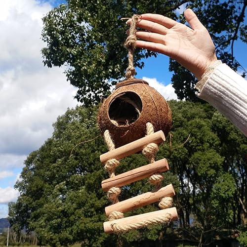 Vista 25 de Tfwadmx Casa colgante para pájaros con escalera, fibra de coco natural, nido de pájaros, conchas de coco, escondite, agapornís, columpio, juguetes