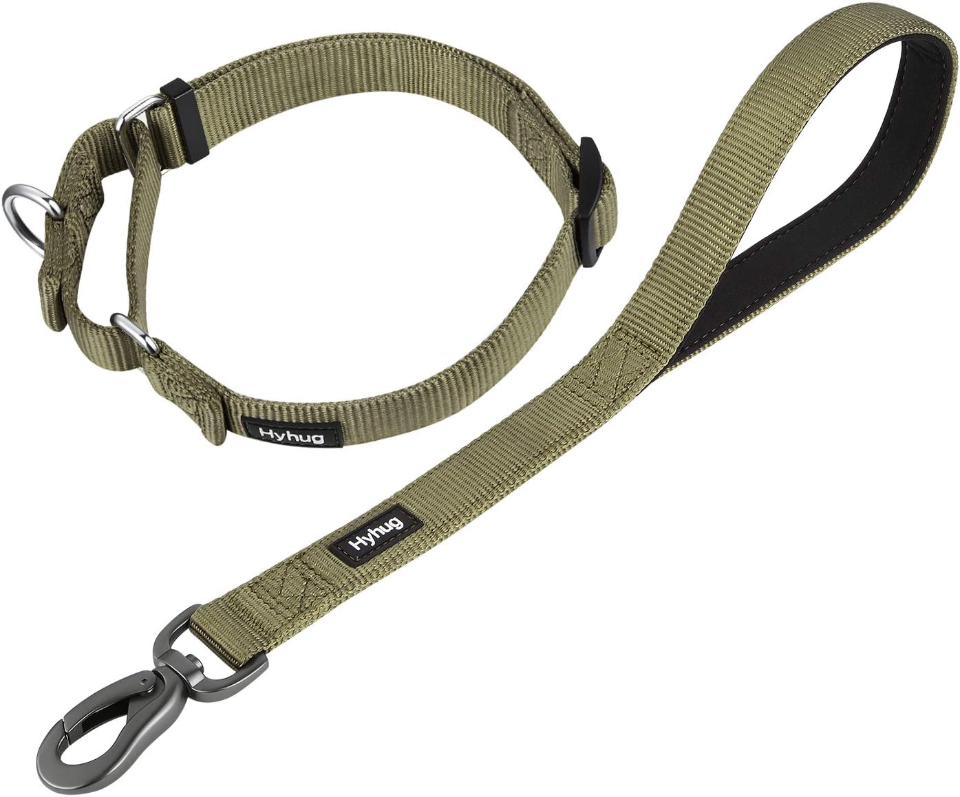 Hyhug Pets Nylon Anti-Escape Martingale Collar and 18 Inches Short Leash with Soft Pad.