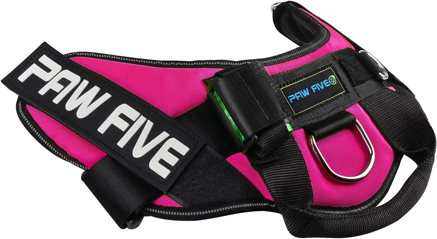 paw five harness