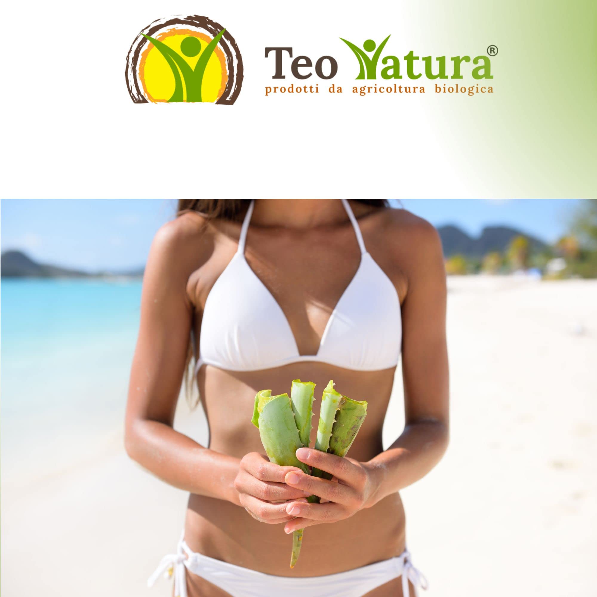 TeoNatura Sinergia 2 – Ricetta Padre Zago SENZA Alcool 750ml | Aloe Arborescens + Miele Bio | Immunostimolante, Depurativo, Intestino | Biologico Certificato – Made in Sicily