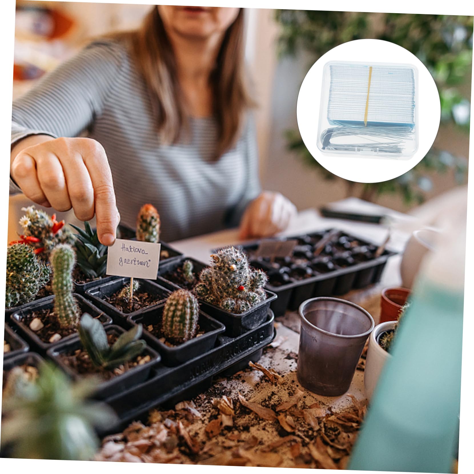 POPETPOP Étiquettes De Plantes Sur Piquets De Jardin Marqueurs De Plantes En Métal Stylo Effaçable 100% Réutilisable Pour Fleurs Légumes Et Plantes D'intérieur
