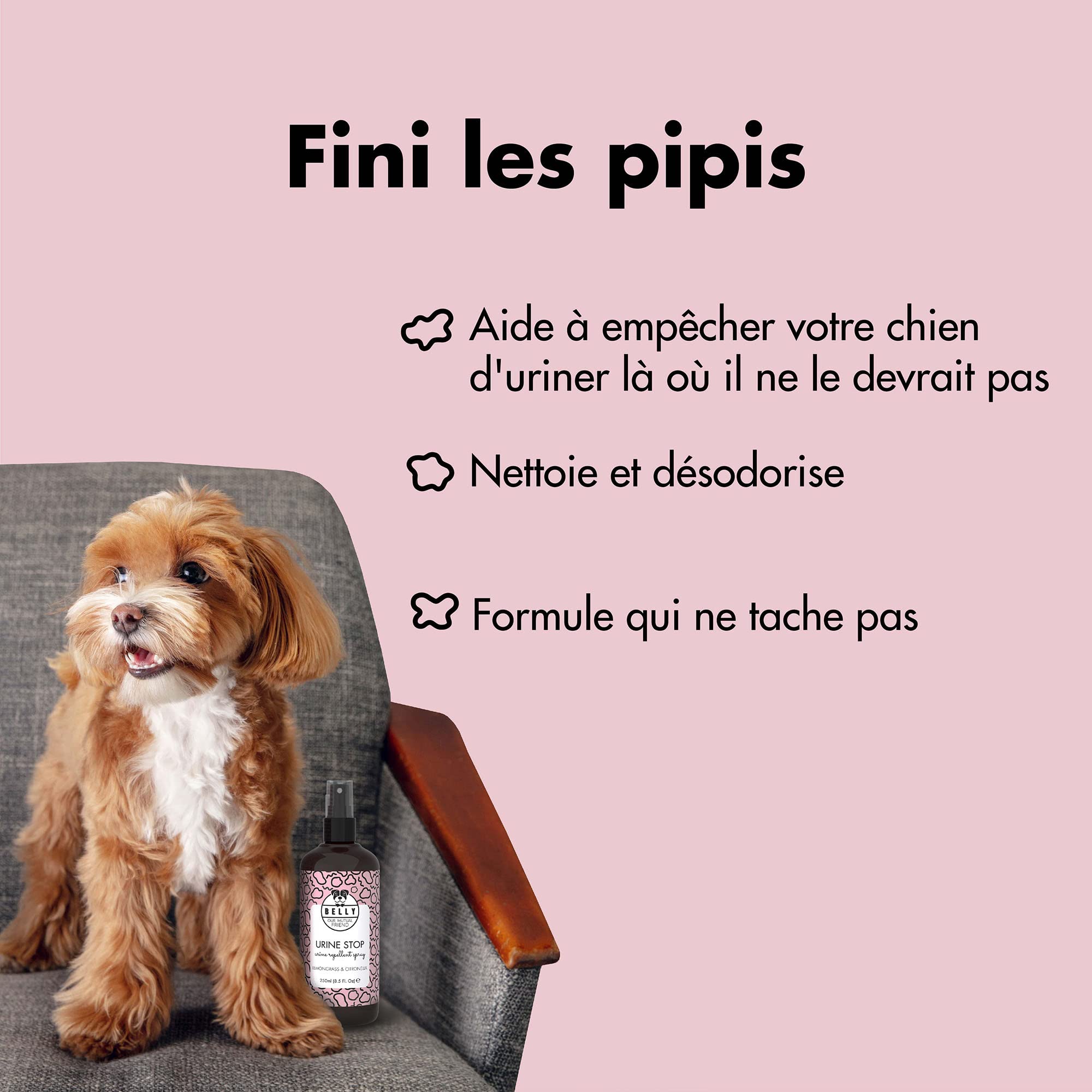 Belly Anti Marquage Urinaire pour Chien - 250ml - Non Tachant - Action Longue Durée - Spray Éducateur & Anti Urine Chien - Usage Intérieur & Extérieur - Fabriqué en Allemagne