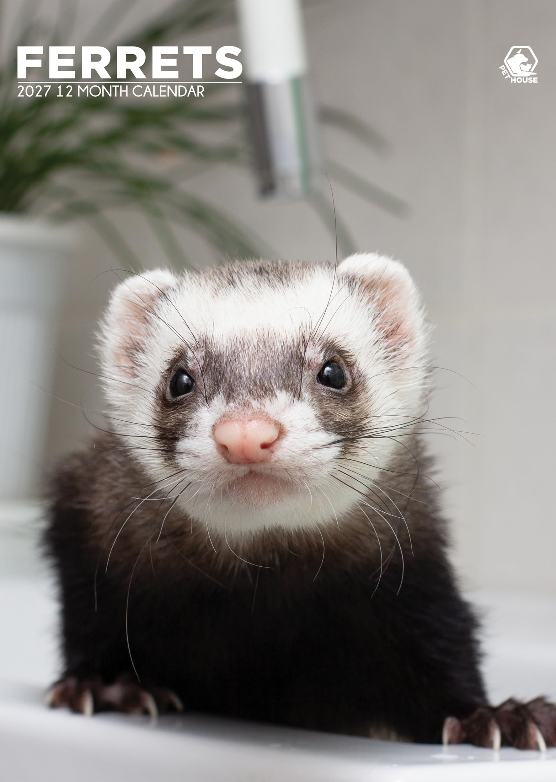 Calendario ferrets 2027 A3 planificador mensual de pared con fotos de animales para colgar 3