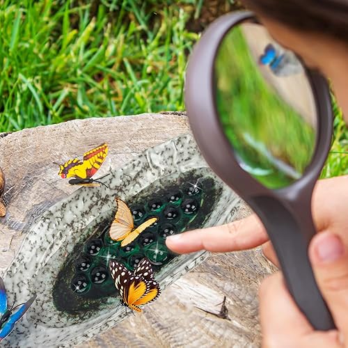 Miniatura 2 de Estación de riego de mariposas al aire libre, comederos de abejas, charco de mariposas con 20 cuentas decorativas, cuenco de cerámica para insectos