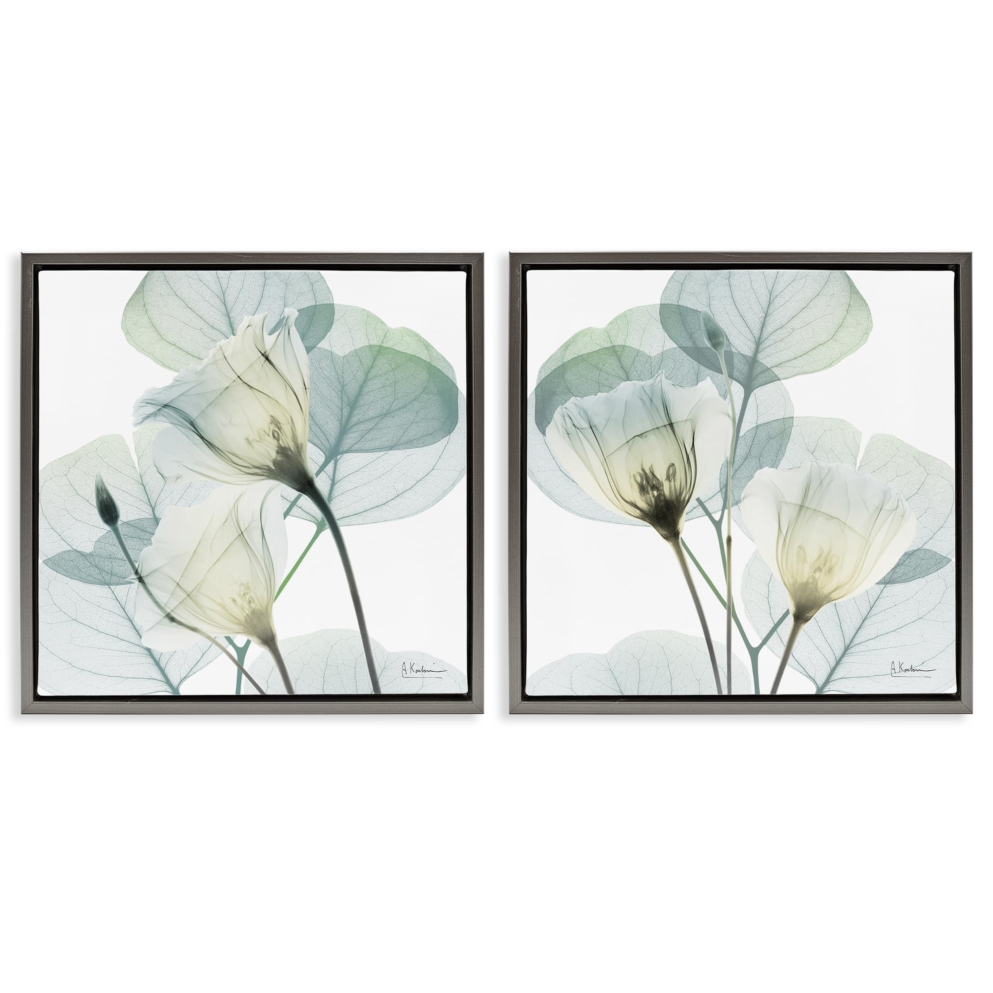 Stupell Industries 'Divine Fate Flowers', 2pc Floating Frame Art Set 2, Gray, 25 x 25 Inches, Easy to Hang and Sturdy, Made in USA, by Albert Koetsier